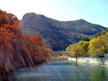 新澳天天开奖资料大全旅游团，董卿简历